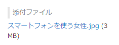 スクリーンショット：添付したファイルのファイル名が表示されている